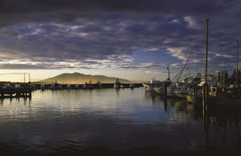 Gulaga National Park - New Castle Holiday 1