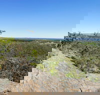 Hale Conservation Park - New Castle Holiday