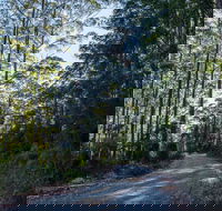 Hastings Forest Way Touring Route - New Castle Holiday