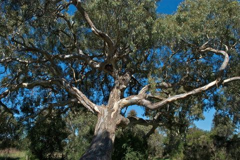 Holey Plains State Park - New Castle Holiday 0