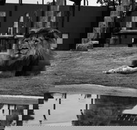 Hunter Valley Zoo - New Castle Holiday