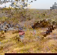 Jatbula Trail - New Castle Holiday