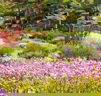 Jurassic Garden AR Experience - New Castle Holiday