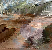 Kingsford Smith Mail Run - New Castle Holiday