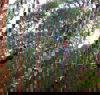 Kinglake Forest Adventures - New Castle Holiday