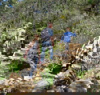 Kitty's Gorge Serpentine National Park - New Castle Holiday