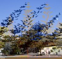 Kurrawa Park - New Castle Holiday