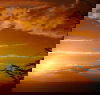 Lady Stonehavens Lookout - New Castle Holiday