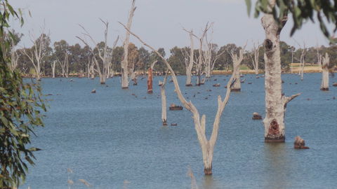 Lake Mulwala - New Castle Holiday 2