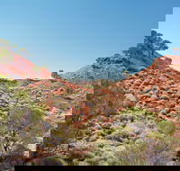Lark Quarry Conservation Park - New Castle Holiday