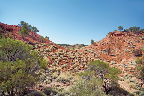 Lark Quarry Conservation Park - New Castle Holiday 0
