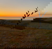 Lessismore Farm Afternoon Farmer - New Castle Holiday