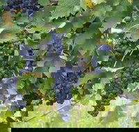 Luskintyre - New Castle Holiday