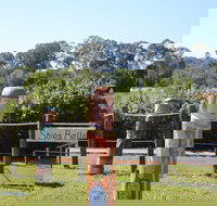 Maryboroughs Bollards - New Castle Holiday