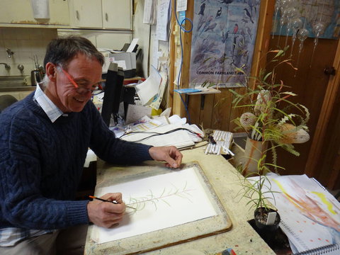 Medika Gallery - New Castle Holiday 0