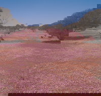 Meekatharra - New Castle Holiday