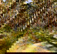 Mining Road Fire Trail Old Gibber Road Rire Trail - New Castle Holiday