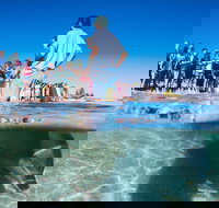 Monkey Mia - New Castle Holiday