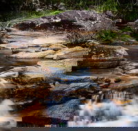 Mothar Mountain Rockpools - New Castle Holiday