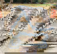 Nathalia  Memorial Gardens - New Castle Holiday