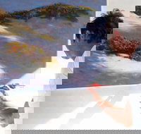 Neale Joseph Fine Art Gallery - New Castle Holiday