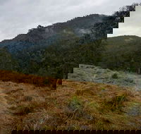 Nowendoc National Park - New Castle Holiday
