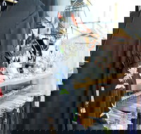 Oh JoJo Boutique - New Castle Holiday