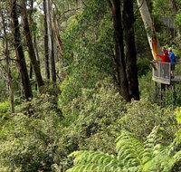 Pipers lookout - New Castle Holiday