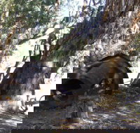 PS Providence historic site - New Castle Holiday