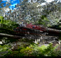 Puffing Billy Railway - New Castle Holiday