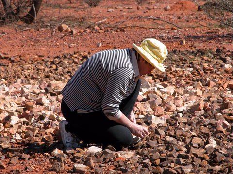 Quilpie Opal Fossicking - New Castle Holiday 1