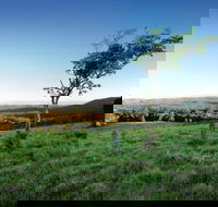 Ravensbourne National Park - New Castle Holiday