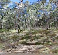 Reef Hills State Park - New Castle Holiday