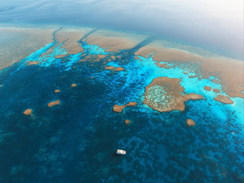 Rowley Shoals - New Castle Holiday 1