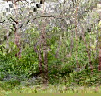 Scutts Hut Trail - New Castle Holiday