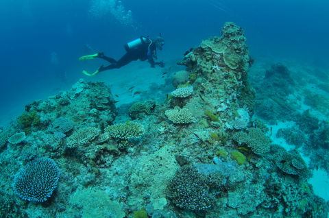 Second Reef Dive Site - New Castle Holiday 1