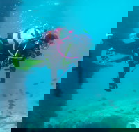 Shellharbour Scuba  and Photography Centre - New Castle Holiday