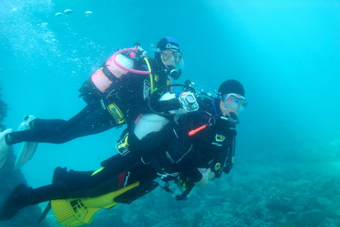 Shellharbour Scuba  And Photography Centre - New Castle Holiday 1