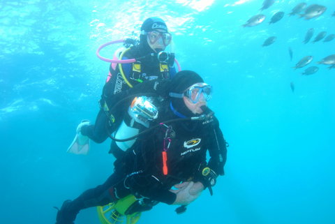 Shellharbour Scuba  And Photography Centre - New Castle Holiday 2