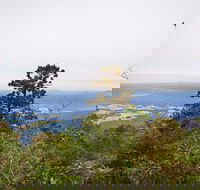 Slingsbys Trail and Syndicate Ridge Track - New Castle Holiday
