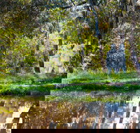 Strathnairn Arts - New Castle Holiday