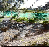 Tactical Paintball Games - New Castle Holiday