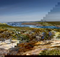 The Coast track - New Castle Holiday