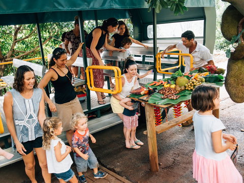 Tropical Fruit World - New Castle Holiday 2