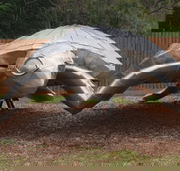 Underwater Marine Sculptures - New Castle Holiday