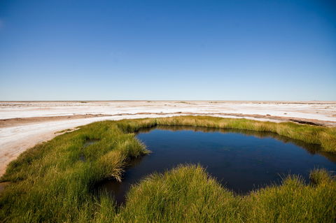 Wabma Kadarbu Mound Springs Conservation Park - New Castle Holiday 0