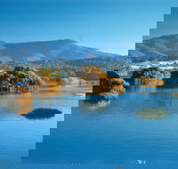 Wagonga Picnic Area - New Castle Holiday