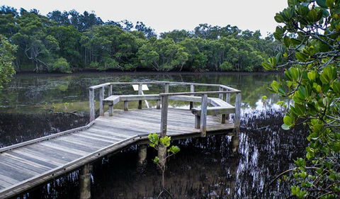 Walk On Water Walking Track - New Castle Holiday 0