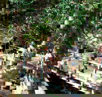 Watagans National Park - New Castle Holiday