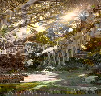 Wendy Whiteley's Secret Garden - New Castle Holiday